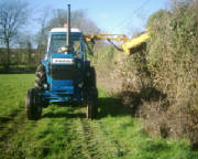 hedgecutting.jpg