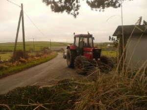 Road_Run/NewYearsDay2011039.jpg