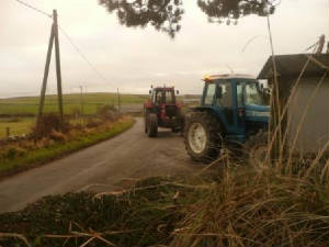 Road_Run/NewYearsDay2011039.jpg