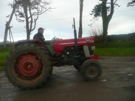 Road_Run/NewYearsDay2011039.jpg