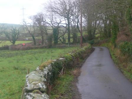 Road_Run/NewYearsDay2011039.jpg