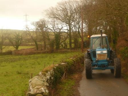 Road_Run/NewYearsDay2011039.jpg